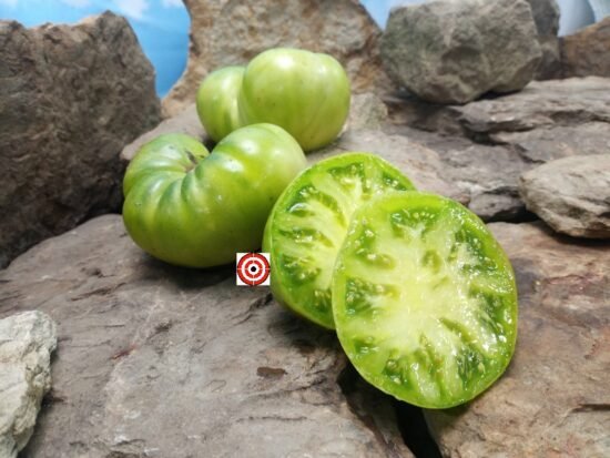 Jackass Green Dwarf Tomato