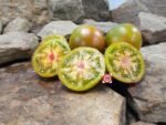 Jungle George Tomato Beefsteak Tomato