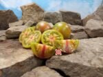 Jungle George Tomato Seeds