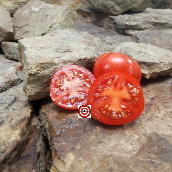 Jurmala Tomato F2 Red Tomato