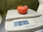 Kille #7 Tomato Heirloom Tomato