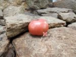 Kille #7 Tomato Seeds