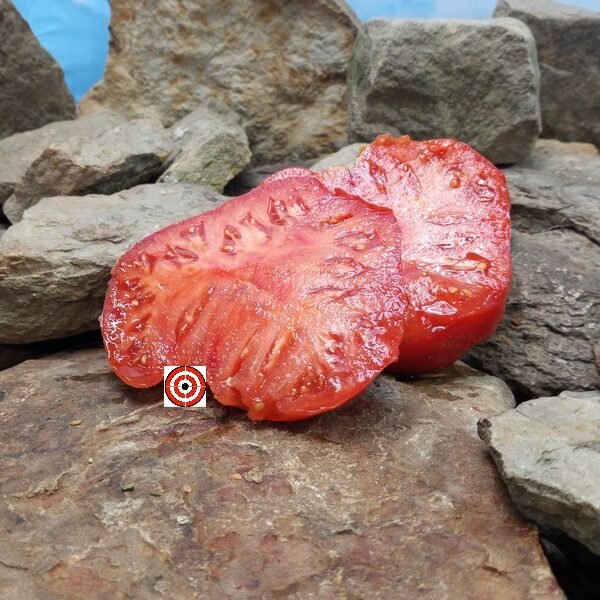 Klara Tomato Seeds