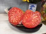 Lara's Giant Tomato Heirloom Tomato.