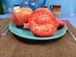 Lara's Giant Tomato Seeds.