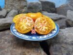 Lava Flow Tomato