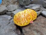 Lava Flow Tomato Slicing Tomato
