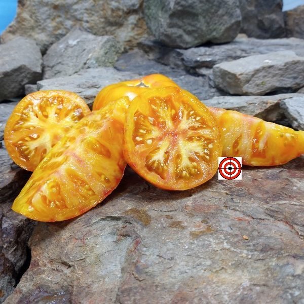 Lava Flow Tomato Yellow Tomato