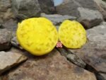 Lillians Yellow Tomato Seeds.