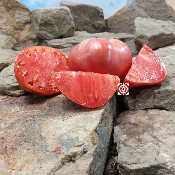 Malcolm Lincoln Tomato