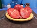 Malcolm Lincoln Tomato Elongated Tomato.