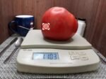 Malcolm Lincoln Tomato Heirloom Tomato.