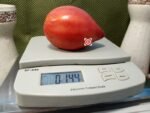 Malcolm Lincoln Tomato Red Tomato.
