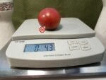 Mary's Cherry Dwarf Tomato