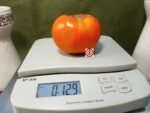 Moonglow Tomato Heirloom Tomato