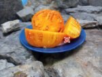 Moonglow Tomato Seeds