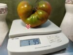 Multicolor Tomato Giant Tomato