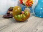 Multicolor Tomato Heirloom Tomato