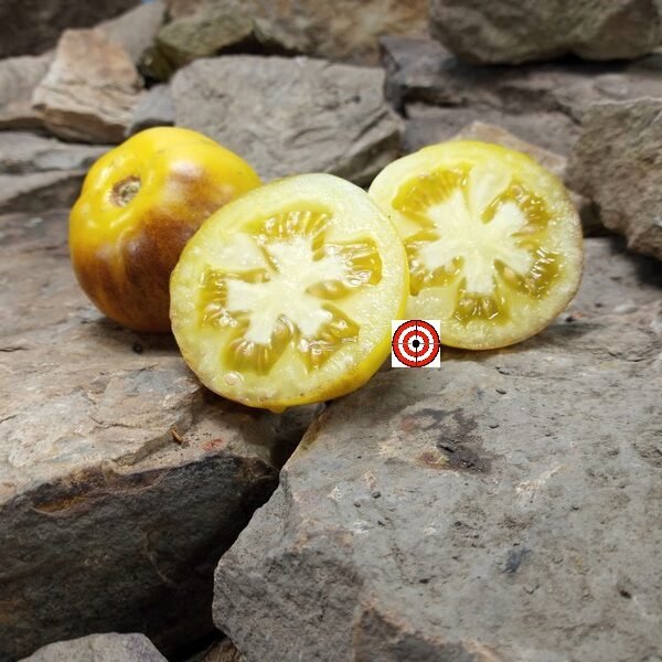 Orange Blue Tomato