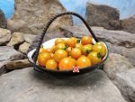 Orange Paroushe F3 Tomato - Image 4