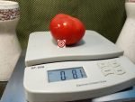 Perfection Pi 451997 Tomato Red Tomato