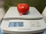 Perfection Pi 451997 Tomato Slicing Tomato