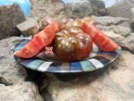 Peron Russet Tomato