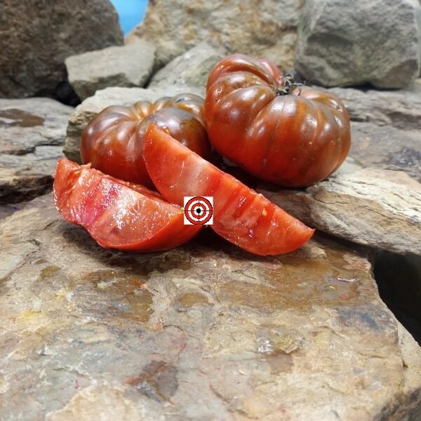 Peron Russet Tomato Bi Color Tomato