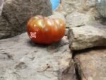 Peron Russet Tomato Seeds