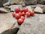 Pink Bumblebee Tomato