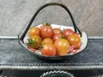 Pink Bumble Bee Tomato Heirloom Tomato