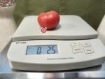Pink Opal Dwarf Tomato