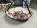Purple Dove Bean - Image 3