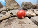 Red House Free Standing Tomato
