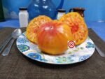 Regina Yellow Tomato