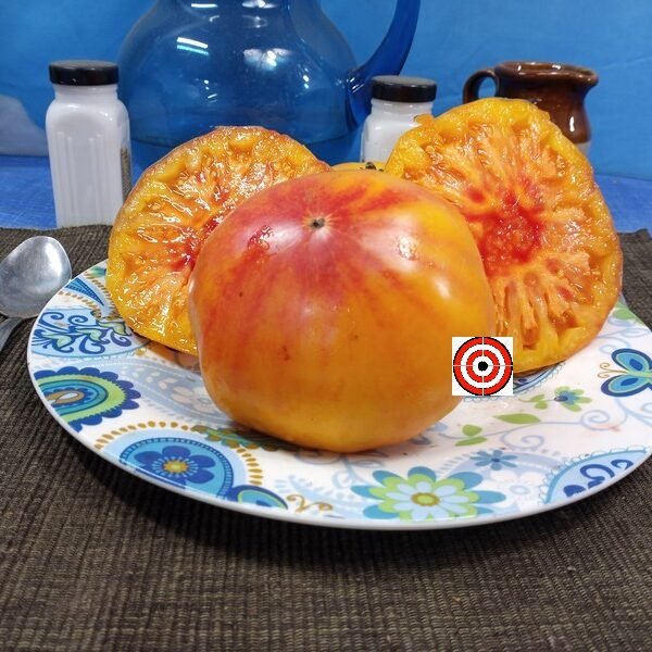 Regina Yellow Tomato