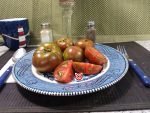 Sandy's Stripes Dwarf Tomato