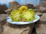 Shamrock Dwarf Tomato Green Tomatoes