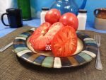 Tasty Wine Dwarf Tomato