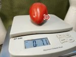 Wes Tomato