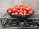 Whipper Snapper Dwarf Tomato