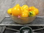 Yantaryi Dwarf Tomato Seeds