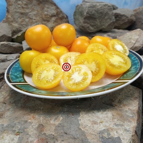 Yellow Perfection Tomato