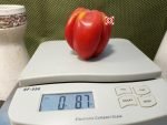 Zahnradtomate Tomato - Image 6