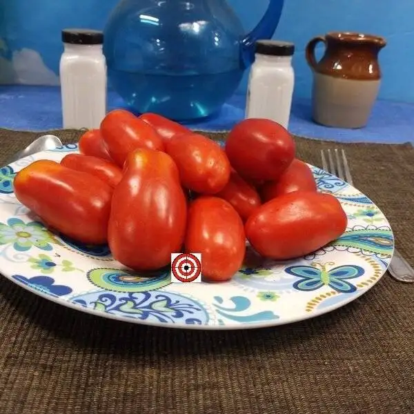 10 Finger Of Naples Tomato
