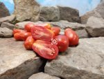10 Fingers of Naples Tomato Paste Tomato Seeds