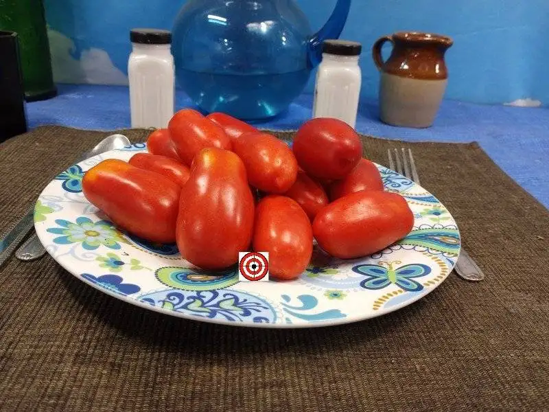 10 Finger Of Naples Tomato