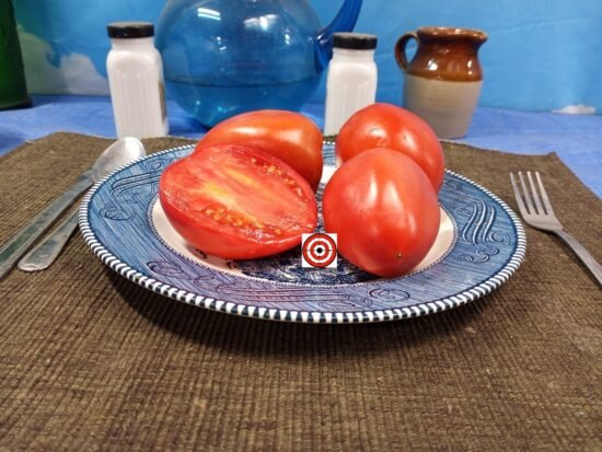 Abbattista Paste Tomato