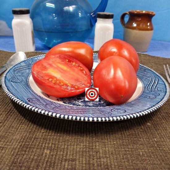 Abbattista Paste Tomato