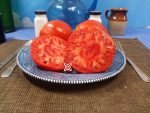 Alice's Egypt Tomato Seeds